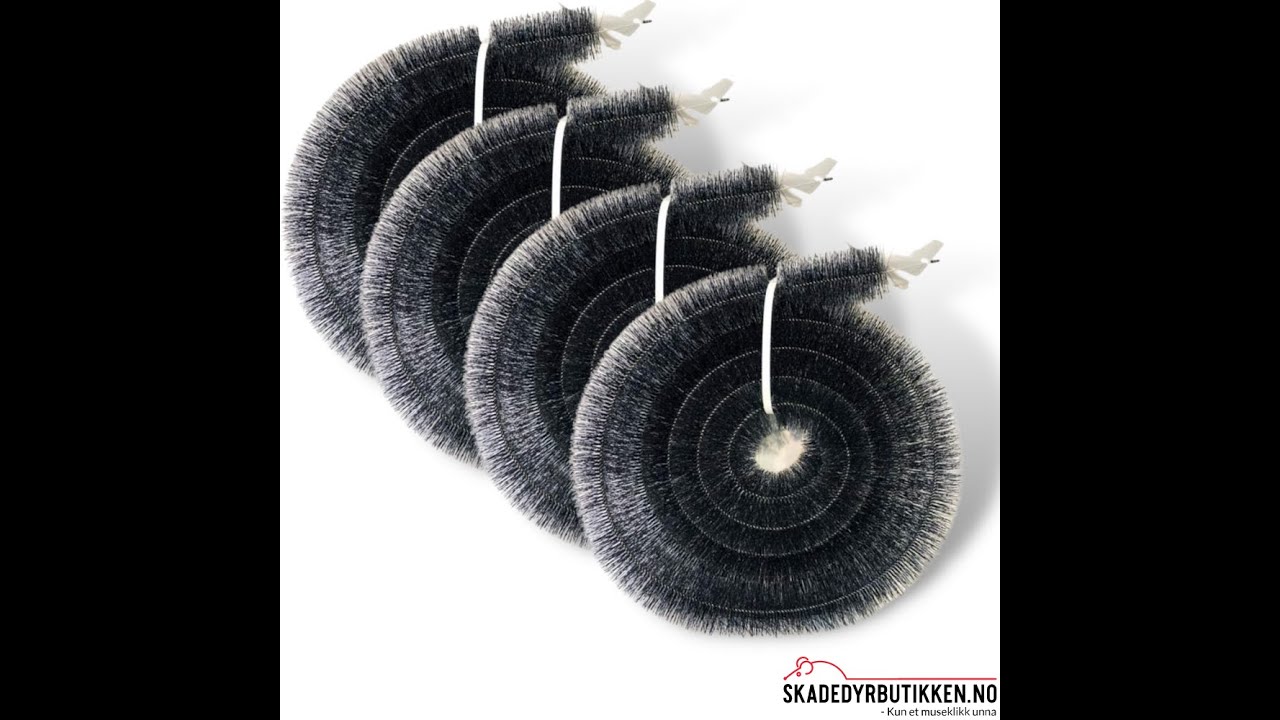 Musebørste & Rottebørste PROFF 5 M x 8 CM