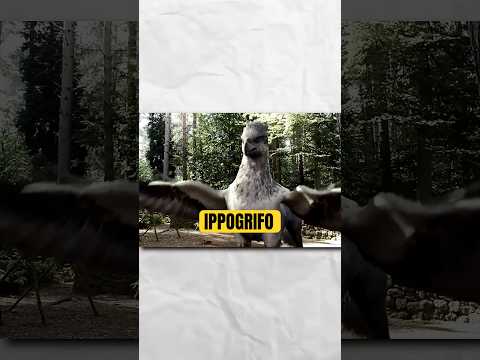 L'IPPOGRIFO è PERICOLOSO? #ippogrifo #harrypotter #hogwartslegacy