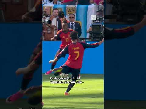 Espanja villiintyi MM-voitosta