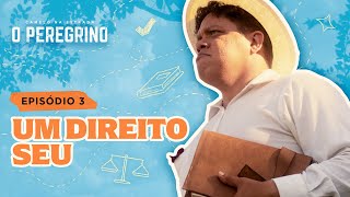 UM DIREITO SEU | CAMELO NA ESTRADA (EP3)