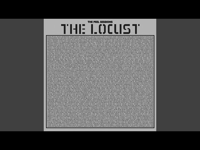 The Locust, il gruppo punk rock che ha fatto la storia della musica