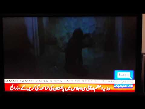 THE CLEANING LADY Official Trailer 2 (2019) Horror Movie