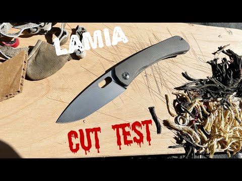 Cut Test Spk Lamia