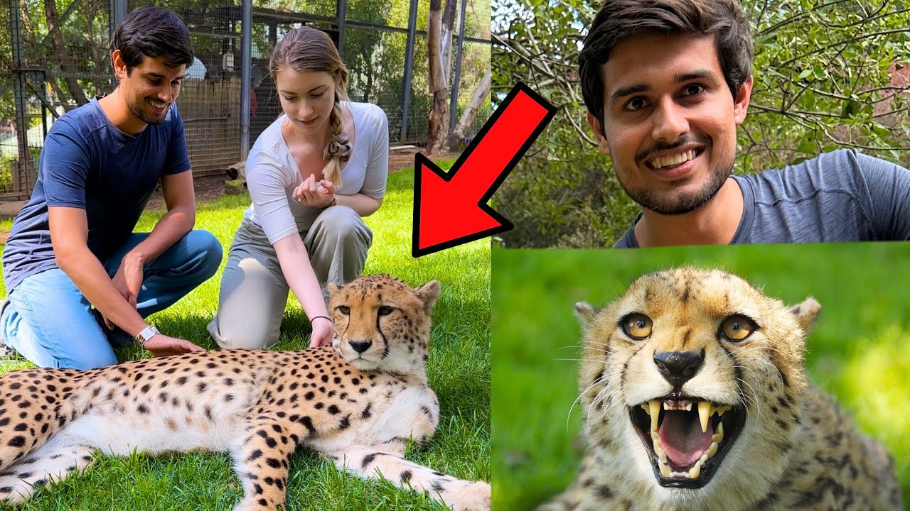 Meeting Cheetahs in a 5 Star Hotel!