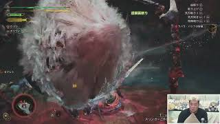 モンスターハンターワイルズをプレイ！アケアカの時間：スティンガー