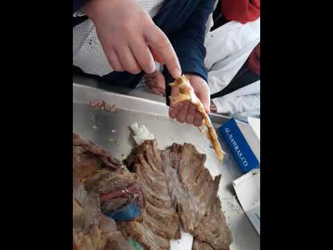 الجلسة العملية الأولى_صدر1 د.تميم