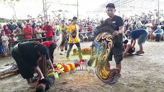 Download lagu Trending jathilan kudho Prasetyo Glendongan Babak Bocil Ndadi @atbchannel1980 mp3