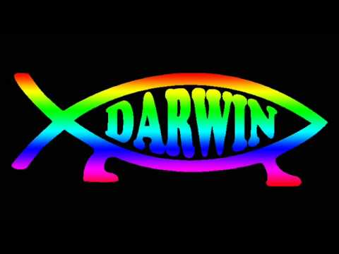 S-RANGE - Darwin Project