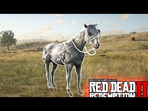 Yes... This is One & Only Horse You Can Find Once In The Entire Game - RDR2