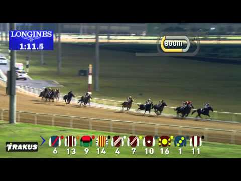 04.12.2014 Meydan (Dubai-UAE) 2.Race Longines Prima Luna - Maiden 1.900 m