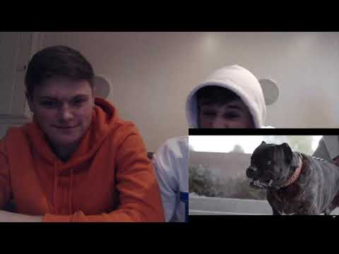 Reese Youngn - GO REESE (OFFICIAL VIDEO)-Reaction