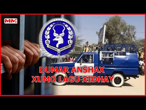 Dumar Baraha bulshada ku faafiyay Anshax Xumo oo la xidhay
