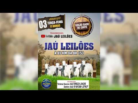 LEILÃO GADO DE CORTE  - JAU LEILÕES  - JAU DO TOCANTINS  -03/ 03/ 2026