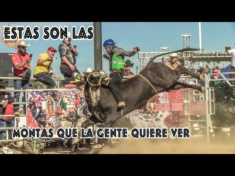 ESTAS SON LAS MONTAS QUE LA GENTE QUIERE VER¡¡CON ESTAS MONTAS TU BOLETO DE ENTRA ESTA PAGADO...