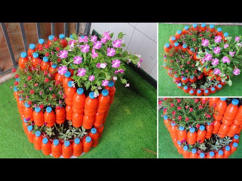 Let s grow bitter melon for your family this way it s very fruity and easy to make