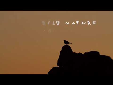 Krka , Wild Nature: Birds