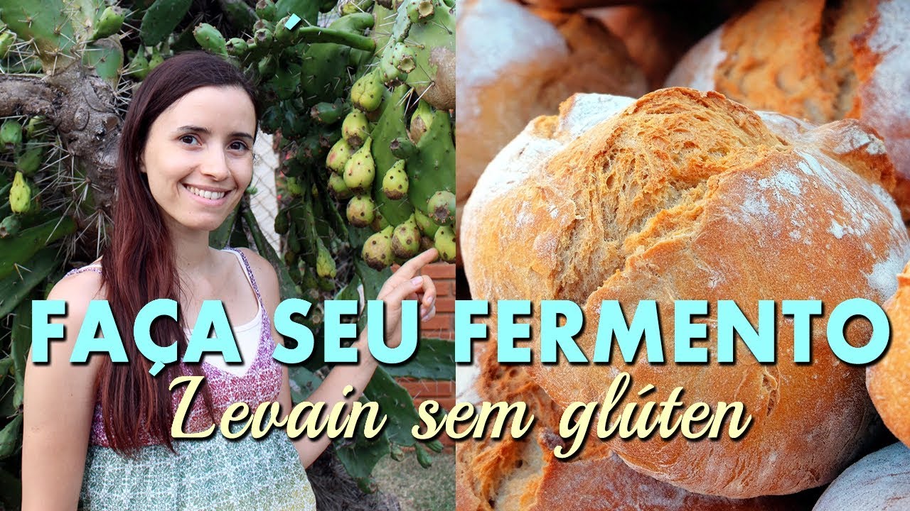 FERMENTO NATURAL LEVAIN sem glúten | O Guia mais completo da massa madre!