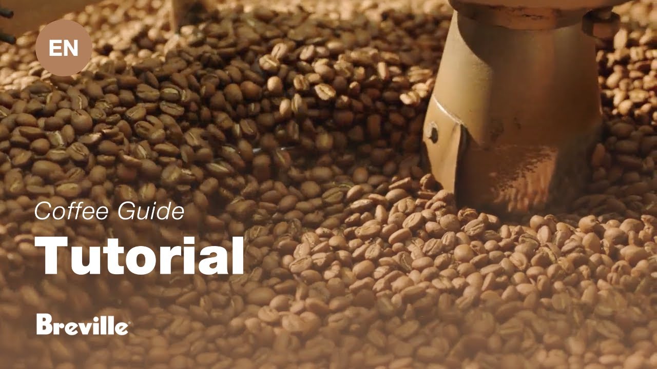 Breville coffee guide tutorial - Choosing the right beans