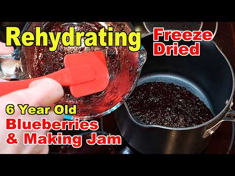 Making Blueberry Jam from 6 year old Freeze Dried Blueberries (and Making Cookies)