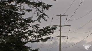 Trees Cut to Protect Power Lines Will Warm Residents in Need