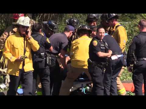 Two Men Miraculously Survive Plane Crash