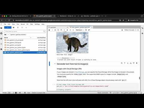 Create Text Embeddings for a Vector Store using LangChain GSP1233