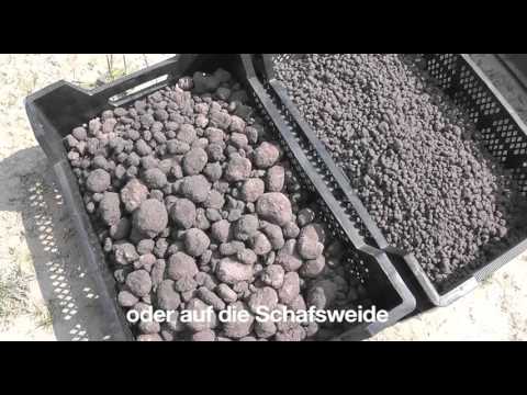 PERMAKULTUR im Weinberg: mit Samenbällen übersäen