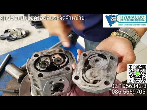 เพิ่มสมาชิก hydropump วิธีการกระตุ้นภาพวิดีโอผู้หญิง