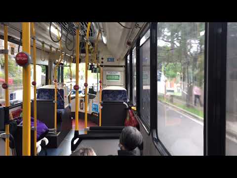 Transit Systems Sydney 2412 ST - Scania K280UB (ZF Ecomat)