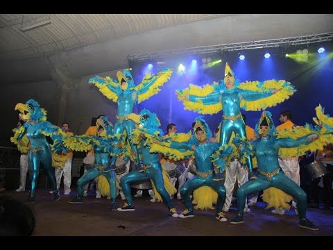 Amigos da Tijuca - Festival de Samba da Mealhada 2014 - I