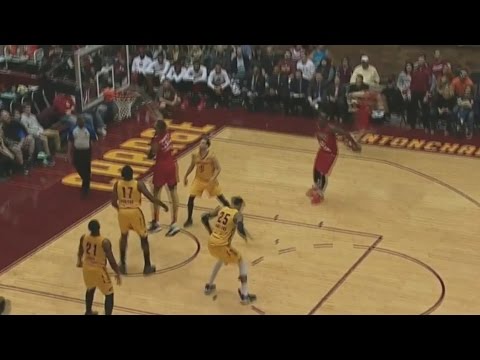 Raptors 905 Highlights: Tavares Throwdown - April 5, 2017