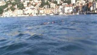 preview picture of video 'Два пловца пересекли Босфор в длину (32 км)'