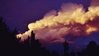 Lotte Kestner - Halo