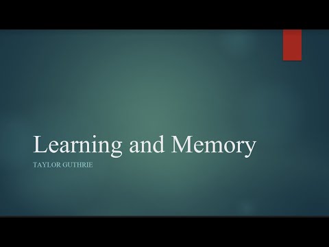 Learning and Memory