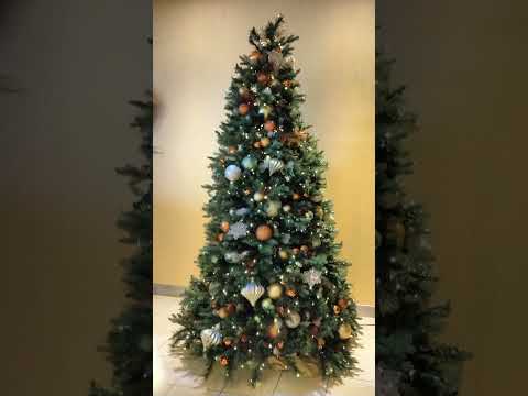 Thumbnail for Carnival Sunshine Christmas Tree Decorations    12/2024