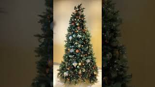 Carnival Sunshine Christmas Tree Decorations    12/2024