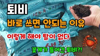 내년 거름 준비 퇴비 바로 쓰면 안되는 이유 이렇게 해야 탈이 없다 꽃게가 들어간 퇴비 생누룩퇴비