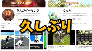 ワイルドクラフト飽きました【サブチャンネルについて】