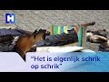 Aangestoken brand in De Groote Weiver zorgt voor grote schade