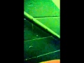 Patrick Swayze - She's Like The Wind (A Capella ...
