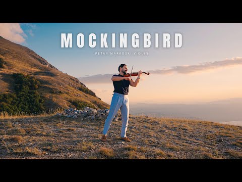 Eminem - Mockingbird (Violin Cover by Petar Markoski)