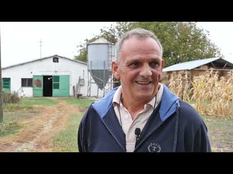 Naša priča ep. 222 21.11.2019. Živinarstvo, Veliki Gaj, Plandište