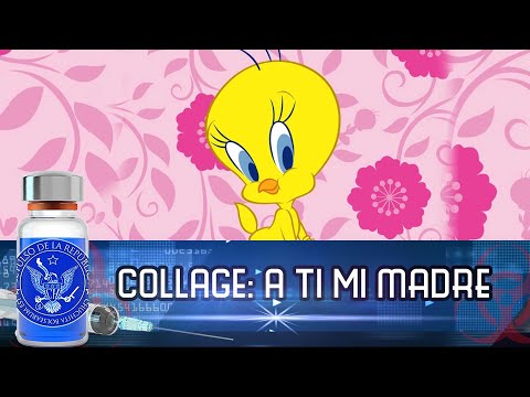 COLLAGE: A TI MI MADRE - EL PULSO DE LA REPÚBLICA