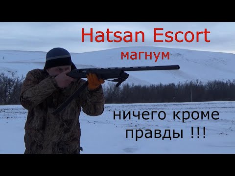 Hatsan Escort Magnum - ничего кроме правды!