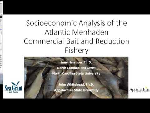 ASMFC Atlantic Menhaden Board Proceedings Feb2017