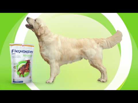 vetoquinol flexadinadvanced 720p 0929 1