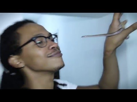 HCK- En Chemin (Street -Clip ) Décembre 2015