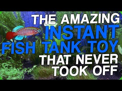 The Amazing Instant Fish Tank Toy That Never Took Off (My Favourite Pet) Video