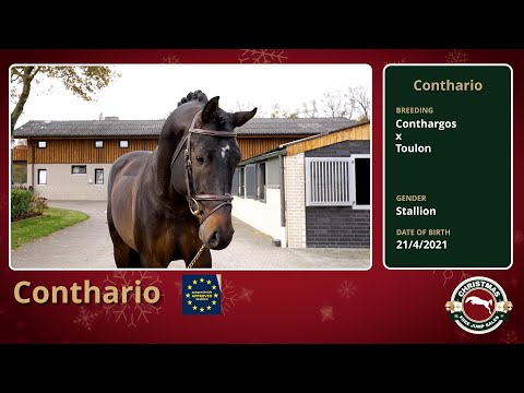 Conthario (Conthargos x C'est Moi Toulina)