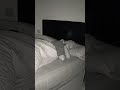 When I fall asleep paranormal activity begins. #paranormal #scary #orbs #occult #ghost #soul